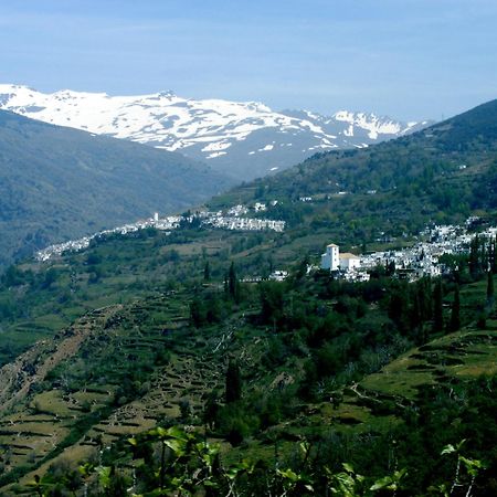 Casa Rural Cortijo El Potro Orgiva Eksteriør billede