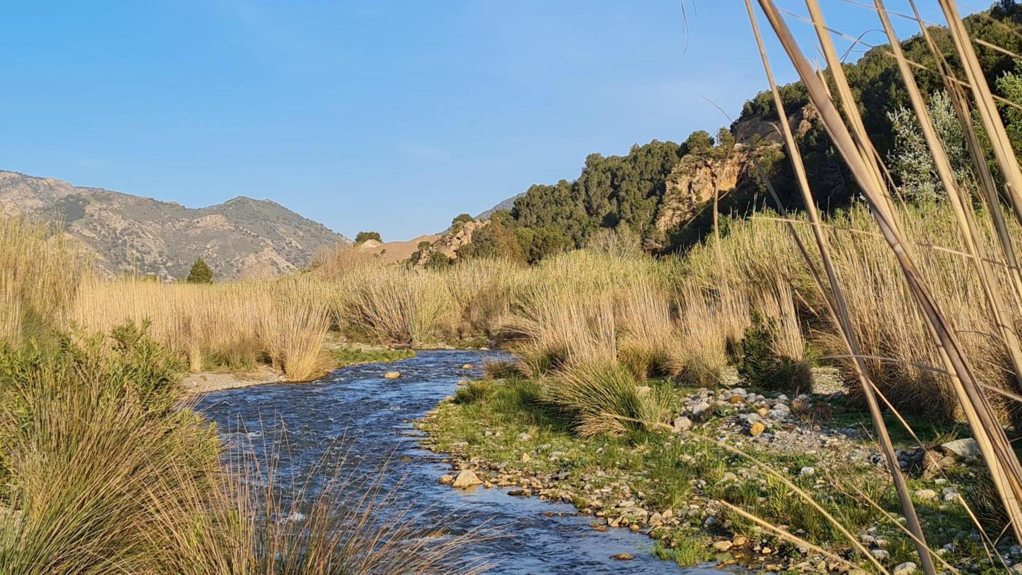 Casa Rural Cortijo El Potro Orgiva Eksteriør billede